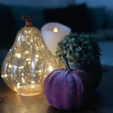 Secret Garden Vendeghaz Πετς